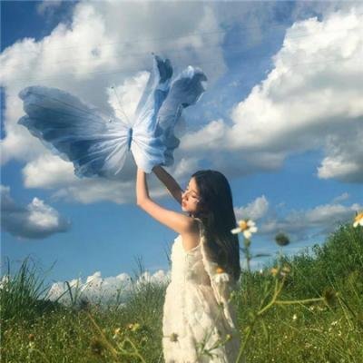 功夫兔与菜包狗第二季